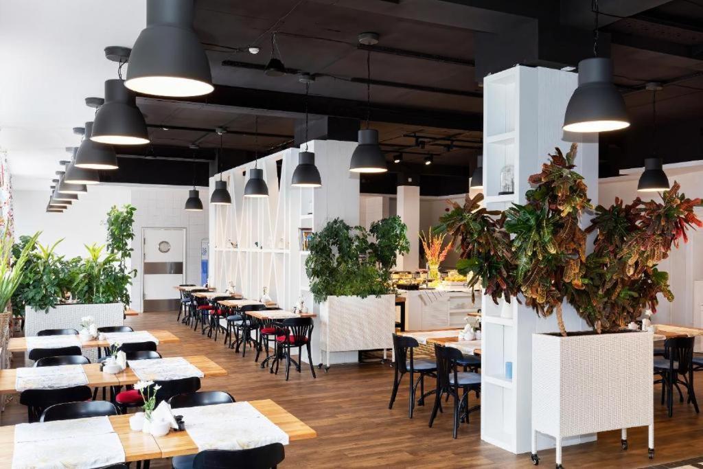 מידזיזדרויה Apartament Bielik מראה חיצוני תמונה